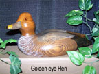 http://lakesidedecoys.com/images/goldeneye_hen_4-thum.jpg
